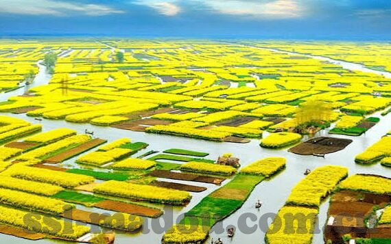 大象传媒有限公司招聘-大象传媒有限公司，创意与激情的汇聚之地——诚邀您的加入