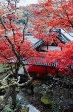 韩国伦理电院网-韩国伦理电影的独特视角，以韩国伦理电院网为例