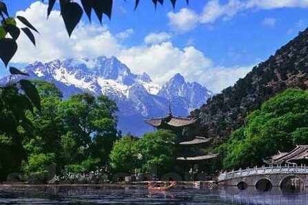麻豆 91 在线-网络风景的另一面，麻豆91在线的深度探求