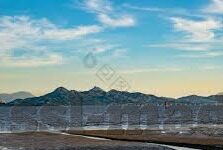 麻豆app直播-麻豆直播，网络时代的娱乐与互动新篇章
