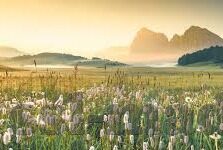 麻豆日记aPP下载苹果-